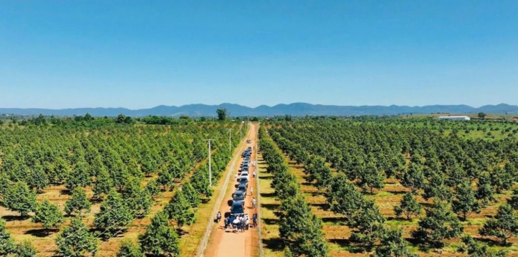 Hoàng Anh Gia Lai vừa hút 2 000 tỷ đồng trái phiếu