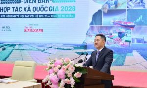 Hơn 8 5 triệu tỷ đồng tín dụng đổ vào khu vực hợp tác xã