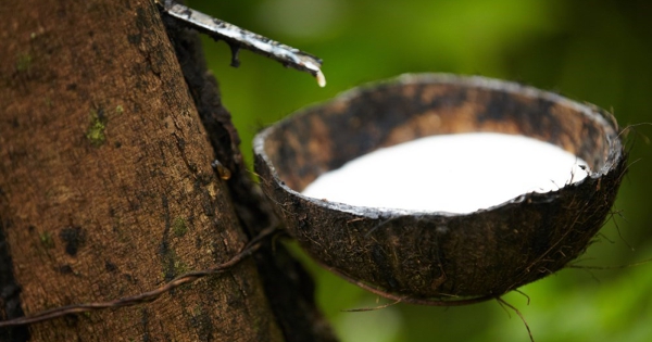 Giá cao su hôm nay 7/4: Tiếp tục tăng tại Nhật Bản