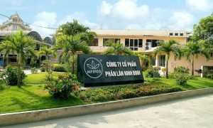 Niferco đặt mục tiêu lập đỉnh doanh thu năm thứ 5 liên tiếp