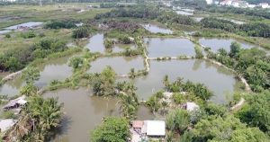 TP HCM loại 33 khu đất khỏi danh mục thí điểm nhà ở thương mại