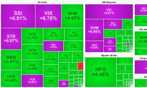 Đón tin vui nâng hạng VN Index đồng khởi tăng điểm kỷ lục