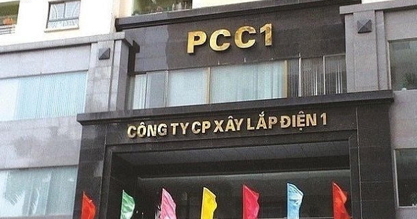 Khởi tố Chủ tịch PC1 Trịnh Văn Tuấn cùng nhiều lãnh đạo, công ty chậm công bố báo cáo quý I