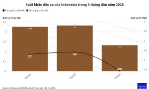 Xuất khẩu dầu cọ của Indonesia giảm mạnh do áp lực chi phí