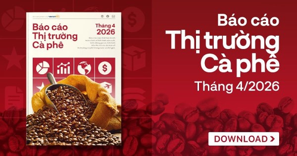 [Báo cáo] Thị trường cà phê tháng 4/2026: Xu hướng giá cà phê giảm sẽ còn tiếp diễn trong thời gian tới?