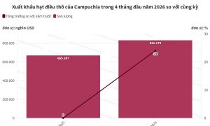 Campuchia xuất khẩu hơn 830 000 tấn hạt điều thô trong 4 tháng