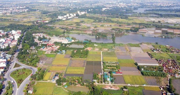 Fideco đầu tư hai dự án bất động sản hơn 11.000 tỷ đồng ở Cần Giờ và Đông Anh