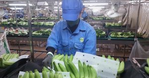 Động lực mới cho xuất khẩu Việt Nam từ thương mại điện tử xuyên biên giới
