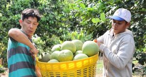 Xuất khẩu nông, lâm, thủy sản 4 tháng tăng 5,4%
