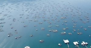Doanh nghiệp UAE muốn đầu tư tổ hợp du lịch trăm ha ở Đăk Lăk
