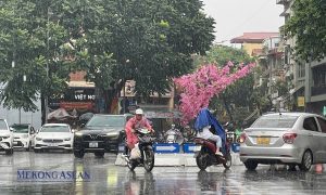 Bắc Bộ sắp có mưa trở lại sau đợt nắng nóng gay gắt