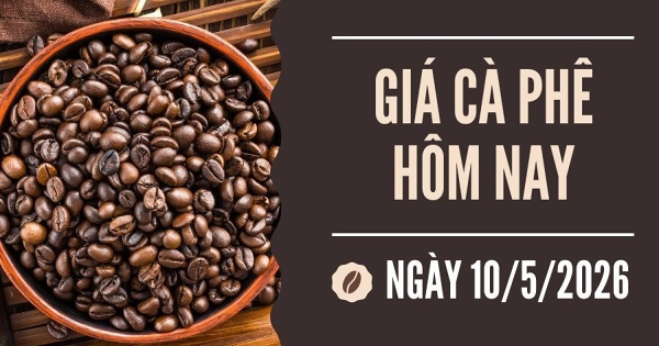 Giá cà phê hôm nay 10/5: Tăng nhẹ trong tuần qua do nông dân tiếp tục hạn chế bán ra