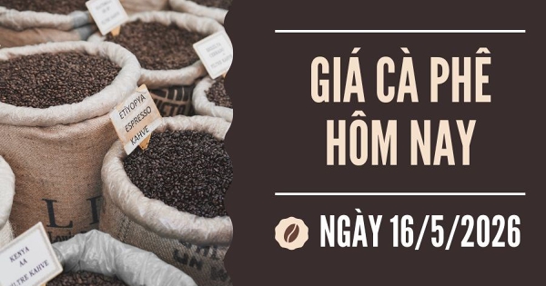 Giá cà phê hôm nay 16/5: Thị trường lao dốc do đồng real suy yếu và áp lực vụ mùa mới tại Brazil