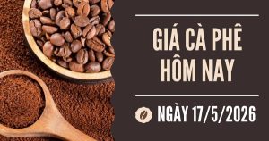 Giá cà phê hôm nay 17/5: Trong nước tăng tuần thứ hai liên tiếp, trái chiều thế giới