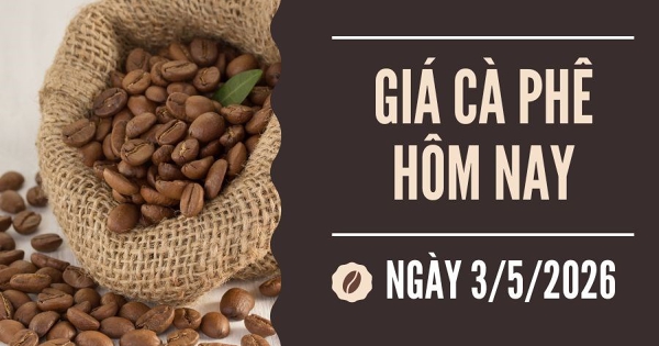Giá cà phê hôm nay 3/5: Giảm trở lại trong tuần qua, trong nước về dưới mốc 87.000 đồng/kg