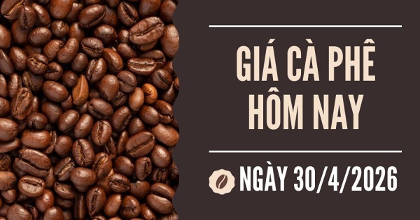 Giá cà phê hôm nay 30/4: Robusta suy yếu nhẹ, arabica lặng sóng