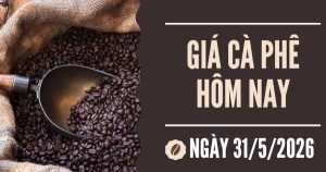 Giá cà phê hôm nay 31/5: Ngược chiều thế giới, giá cà phê trong nước giảm 600 - 700 đồng/kg trong tuần qua