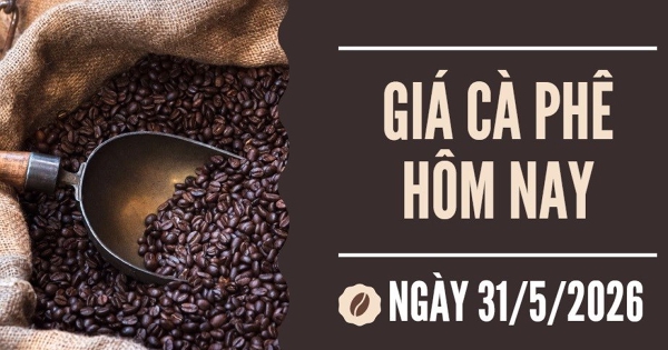 Giá cà phê hôm nay 31/5: Ngược chiều thế giới, giá cà phê trong nước giảm 600 - 700 đồng/kg trong tuần qua