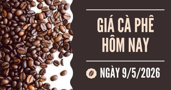 Giá cà phê hôm nay 9/5: Arabica phục hồi trở lại, robusta quay đầu giảm nhẹ