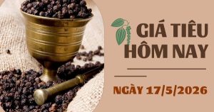 Giá tiêu hôm nay 17/5: Trong nước và thế giới cùng tăng trong tuần qua