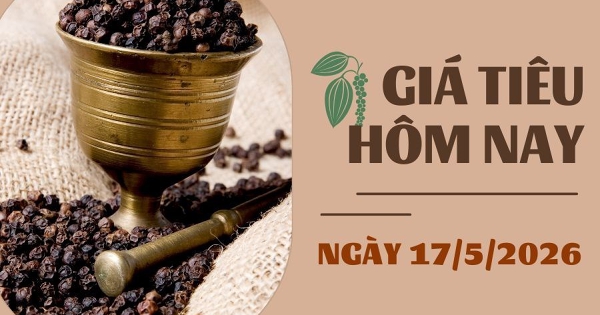 Giá tiêu hôm nay 17/5: Trong nước và thế giới cùng tăng trong tuần qua