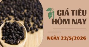 Giá tiêu hôm nay 22/5: Nông dân hạn chế bán ra chờ giá cao hơn