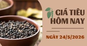 Giá tiêu hôm nay 24/5: Thị trường trầm lắng, giá tiêu giảm 2.000 – 3.000 đồng/kg trong tuần qua