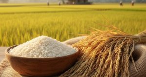 Giá lúa gạo hôm nay 30/5: Sản lượng lúa gạo của Philippines có thể giảm 700.000 tấn do El Niño