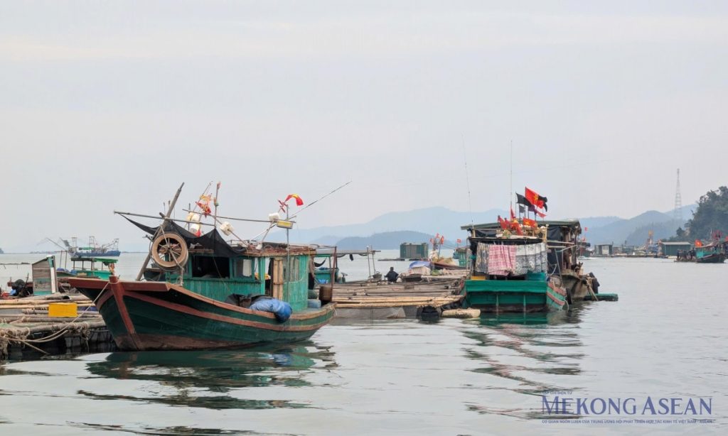 Kiện toàn Ban Chỉ đạo quốc gia về IUU