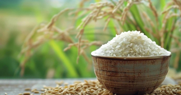 Giá lúa gạo hôm nay 15/5: Gạo xuất khẩu của Thái Lan bật tăng, Việt Nam và Ấn Độ giữ giá ổn định