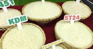 Giá lúa gạo hôm nay 9/5: Philippines “đặt hàng” 1,5 triệu tấn gạo Việt Nam để ổn định nguồn cung
