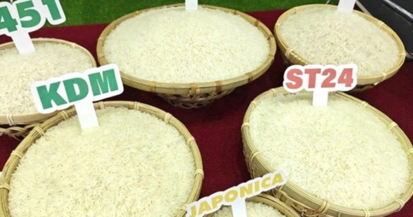 Giá lúa gạo hôm nay 9/5: Philippines “đặt hàng” 1,5 triệu tấn gạo Việt Nam để ổn định nguồn cung