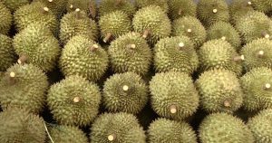 Nghịch lý sầu riêng 'hai giá'