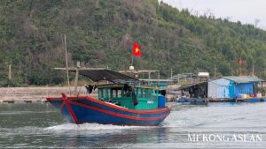 Các doanh nghiệp xuất khẩu ghẹ Việt Nam nhận tin vui từ thị trường Mỹ