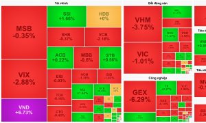 Cổ phiếu họ Vin gây áp lực lên VN Index VND ngược dòng tăng trần