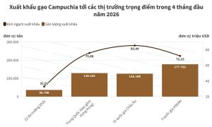 Campuchia xuất khẩu gần 470 000 tấn gạo trong 4 tháng đầu năm