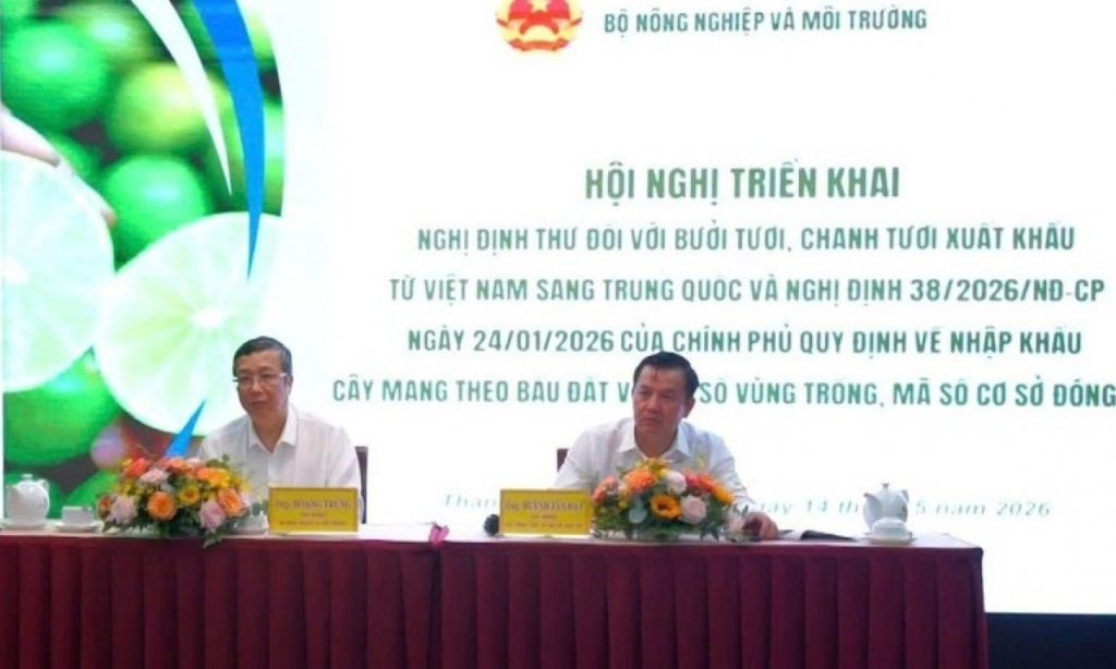 Xuất khẩu bưởi chanh sang Trung Quốc cần đáp ứng điều kiện gì