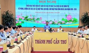 ĐBSCL cần hơn 32 000 tỷ đồng ứng phó sụt lún sạt lở và hạn mặn