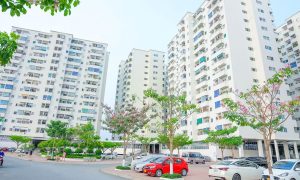 HoREA kiến nghị loạt ưu đãi để phát triển nhà ở cho thuê giá phù hợp