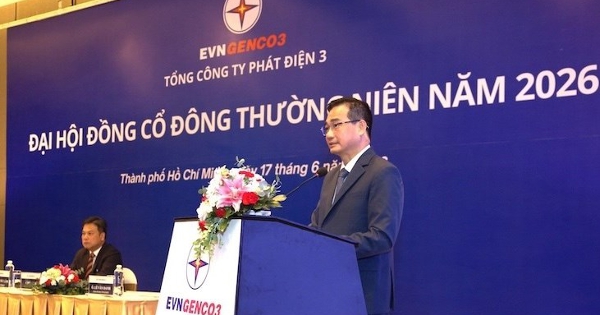 ĐHĐCĐ EVNGENCO3 (PGV): Mục tiêu sản lượng tăng 19%, lợi nhuận 5 tháng trên 1.300 tỷ đồng