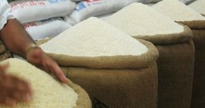 Giá lúa gạo hôm nay 9/6: Tăng giảm trái chiều giữa thị trường trong nước và xuất khẩu