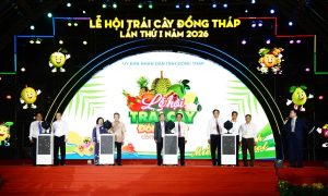 Đồng Tháp khai mạc lễ hội trái cây quy tụ hơn 20 hoạt động quảng bá nông sản