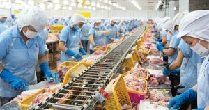 Nam Việt đặt mục tiêu lãi hơn 1.000 tỷ năm 2026