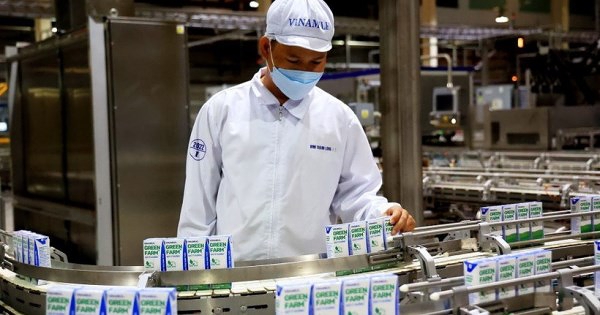 Ngành sữa Việt Nam còn nhiều dư địa tăng trưởng từ thị trường nội địa