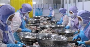 Thủy sản Việt Nam trước bài toán giữ thị phần ở Hoa Kỳ