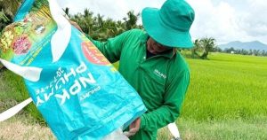 Giá phân bón tăng cao, nông dân thêm áp lực chi phí