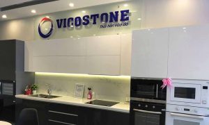 Vicostone chốt ngày chi 320 tỷ đồng tạm ứng cổ tức tỷ lệ 20