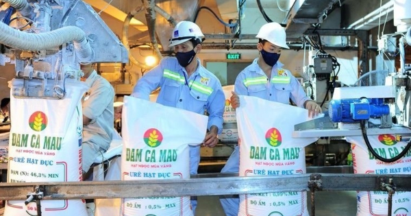 Đạm Cà Mau sắp trả cổ tức 2.000 đồng/cp trong tháng 7