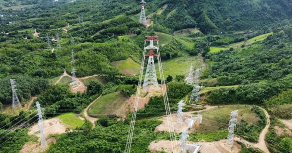Big4 kiểm toán đồng loạt từ chối cung cấp dịch vụ cho một doanh nghiệp ngành điện