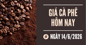 Giá cà phê hôm nay 14/6: Tăng mạnh trong tuần qua, giá cà phê gần chạm mốc 90.000 đồng/kg